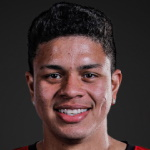 雷南·维亚纳